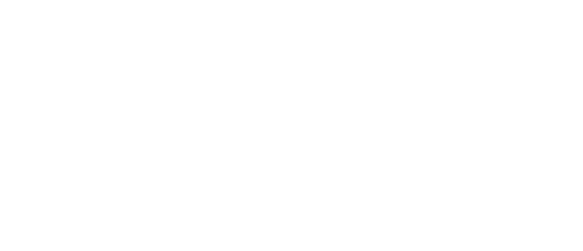 ZenPro Pets